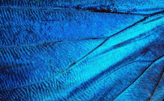 Soziale Botschaft Diözese Öomu